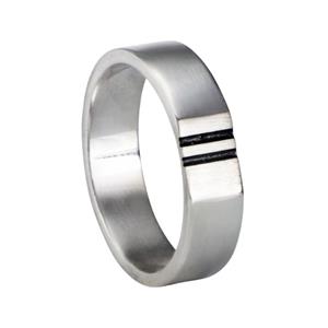 Gedenk Idee Memorialshop Ring in zilver met 2 strakke lijnen met crematie-as