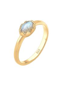 Elli Dames Vintage Look Basic met Labradoriet edelsteen in 925 Sterling Zilver Goud