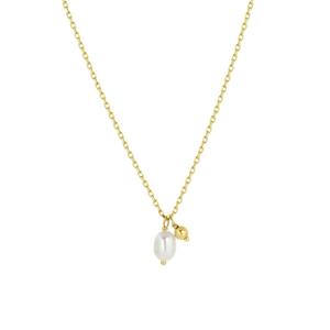 Lucardi Ketting Zilver 48cm -goudkleurig