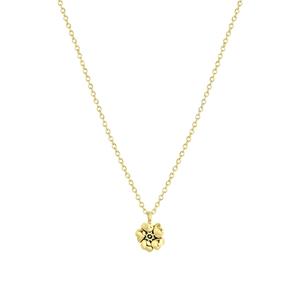 Lucardi Ketting Zilver - februari