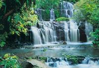 Komar Fototapete Pura Kaunui Falls 368×254 cm 8-256 Mehrfarbig