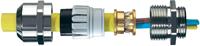 Wiska EMSKV 75 EMV-Z Kabelverschraubung M75 Messing Messing 1St.