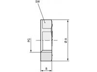 lappkabel LAPP SKINDICHT GMK PG 11 RAL 7035 LGY Gegenmutter PG11 Polystyrol (EPS) Lichtgrau (RAL 7035) 100St.