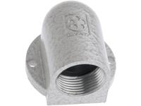 LAPP 52024110 Wartel haaks PG29 Spuitgietwerk Natuur 5 stuk(s)