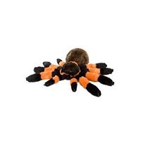 Halloween - Pluche Tarantula spin 30 cm Multi