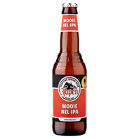 Mooie Nel IPA Fles 33 cl