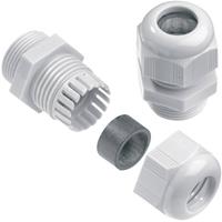 Weidmüller VG M12-K67 1909660000-1 Wartel M12 Polyamide Grijs 1 stuk(s)