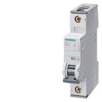 Siemens 5SY51026 5SY5102-6 Leitungsschutzschalter 2A 230 V, 400V