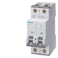 SIEMENS 5SY7210-8 - Miniature circuit breaker 2-p D10A 5SY7210-8