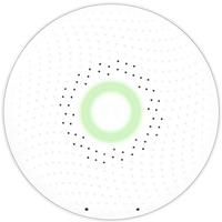 Airthings 291 Gasmelder werkt op batterijen Detectie van Radon