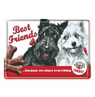 Metalen Postkaart Best Friends Because We Share Everything