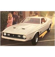 Mustang Koppel Met Ijs - Vintage Foto, Kunst Afdruk
