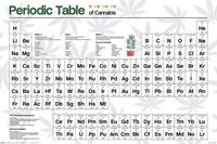 Pyramid Periodic Table Cannabis Poster 61x91,5cm