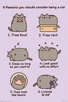 Pyramid Pusheen Reasons to be a Cat Poster 61x91,5cm