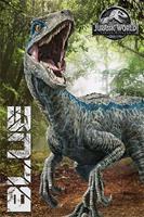 Expo XL Jurassic World Fallen Kingdom Blue - Maxi Poster (C-727)