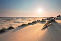 Expo XL Sunny Dunes - Maxi Poster (C-715)