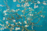 Expo XL Vincent Van Gogh: Amandelbloesem - Maxi Poster (713)