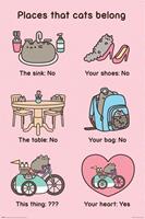 Expo XL Pusheen: Places Cats Belong - Maxi Poster (712)