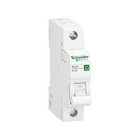 Schneider Electric R9F23120 Zekeringautomaat 1-fasig 20 A 230 V