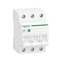 Schneider Electric R9F24325 Zekeringautomaat 25 A 400 V