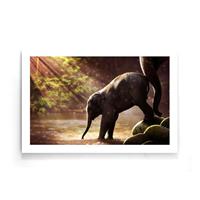 Walljar | Poster Baby Olifant