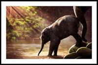 Walljar | Ingelijste poster Baby Olifant