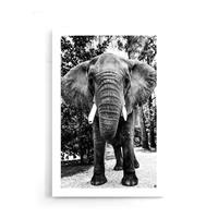 Walljar | Poster Afrikaanse Olifant