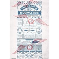 Gbeye Harry Potter Quidditch At Hogwarts Poster 61x91,5cm