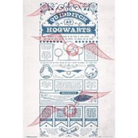 Gbeye Harry Potter Quidditch At Hogwarts Poster 61x91,5cm