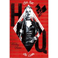 Gbeye The Suicide Squad Harley Poster 61x91,5cm