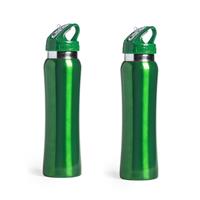 Bellatio Set van 2x stuks luxe Drinkfles/waterfles 800 ml groen van RVS -