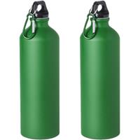 Bellatio 2x Stuks aluminium waterfles/drinkfles groen met schroefdop en karabijnhaak 800 ml -