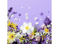 PAPER+DESIGN PAPER+DESIGN 197272 7321011972722 PAPER+DESIGN 197272
