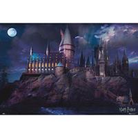 Grupo Erik Harry Potter Hogwarts Poster 91,5x61cm