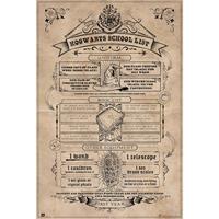 Grupo Erik Harry Potter Hogwarts School List Poster 61x91,5cm