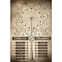 Grupo Erik Harry Potter Spells and Charms Poster 61x91,5cm