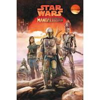 Grupo Erik Star Wars The Mandalorian Crew Poster 61x91,5cm