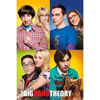Grupo Erik The Big Bang Theory Mosaico Poster 61x91,5cm