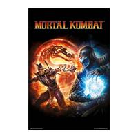 Grupo Erik Mortal Kombat 9 Videogame Poster 61x91,5cm