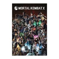 Grupo Erik Mortal Kombat Characters Poster 61x91,5cm