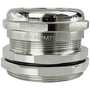 TRU Components TC-10302864 Wartel M75 Messing (vernikkeld) 1 stuk(s)