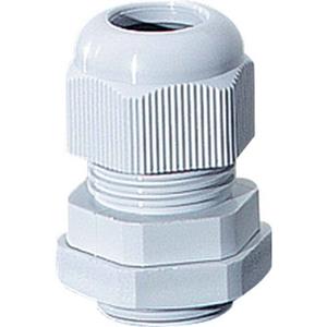 Hensel 36001081 Wartel Slagvast, Met borgmoer, Met trekontlasting, Met dichting M40 Kunststof Grijs 10 stuk(s)