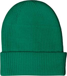 Only Onlastrid beanie cc lush meadow