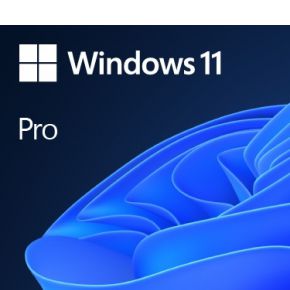 Microsoft Windows 11 Pro 1 licentie(s)