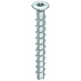 Multi-monti-plus  KS 5,0 x 40, Kabelschellenschraube, T-Drive, A2K, 200 St.