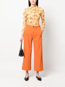 Cropped chino - Oranje