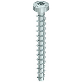 Multi-monti-plus  P 6,0 x 30, Rundkopf, T-Drive, A2K, 200 St.