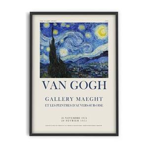 PSTR studio  Vincent van Gogh - Starry night