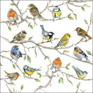 Ambiente Papierserviette Vogel-Treffen, (20 St), 33 cm x 33 cm