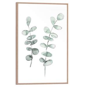 Leen Bakker Poster met lijst Eucalypthus Slinger - 30x20 cm